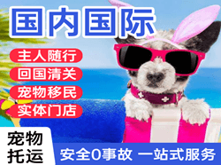 东阳横店航空运输国际宠物托运 【国